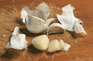 الثوم – مضاد حيوي طبيعي